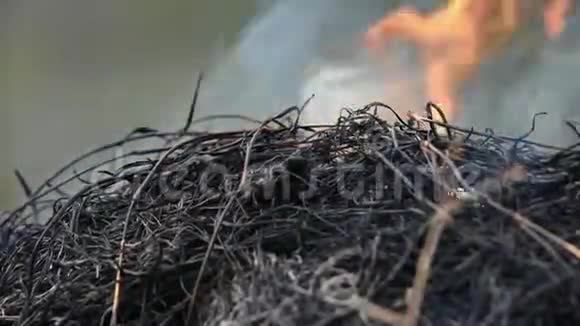 火烧干草对环境有危害视频的预览图