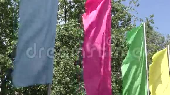 彩旗在风中摇曳视频的预览图