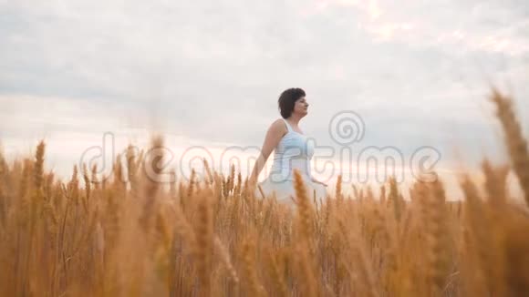 加上大小时尚模特在慢动作视频行走白色连衣裙在田间小麦大自然中的肥婆视频的预览图