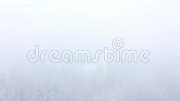 飞越暴风雪的雪山针叶林多雾不友好的冬季天气视频的预览图