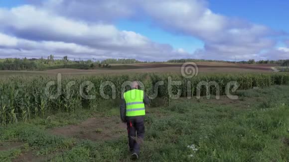 玉米地上的农夫视频的预览图