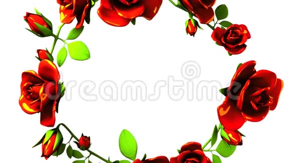 红色玫瑰框白色文字空间视频的预览图