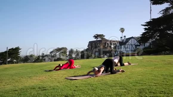 一群年轻人白天在海边练习瑜伽绿草视频的预览图