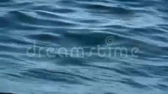 海浪背景HD视频的预览图