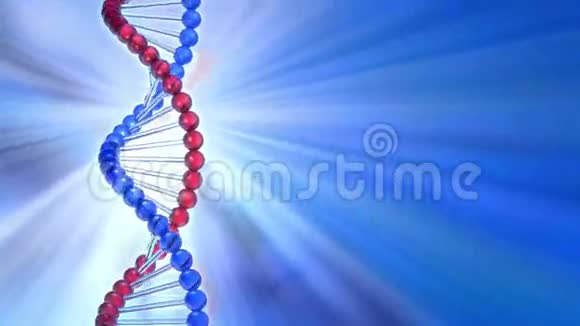 旋转DNA分子视频的预览图