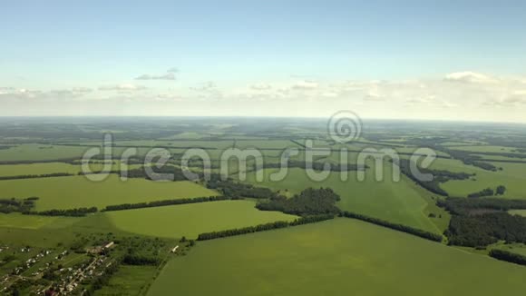 春季麦田成熟的空中拍摄农业景观美丽的景色视频的预览图