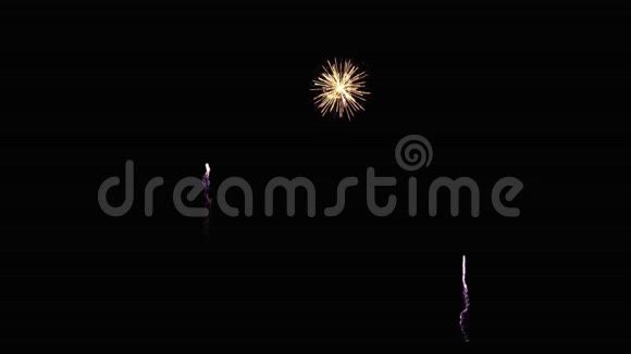 象征新年的金像象征节日的灿烂烟花视频的预览图