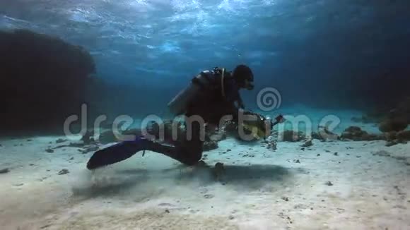 摄影师潜水员在红海深处的沙底水下游泳视频的预览图