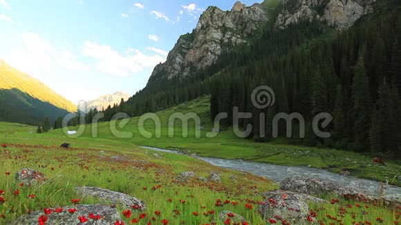 美丽的山景有鲜花和山河视频的预览图