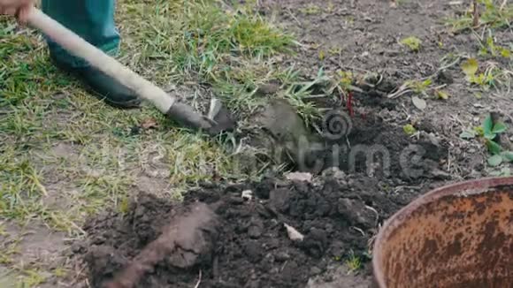 那个拿着铲子在花园里挖洞的人视频的预览图