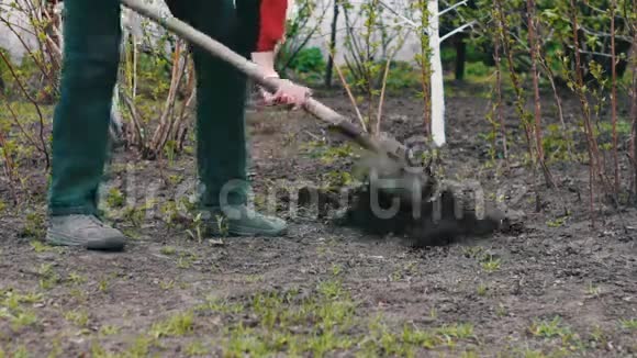 那个拿着铲子在花园里挖洞的人视频的预览图