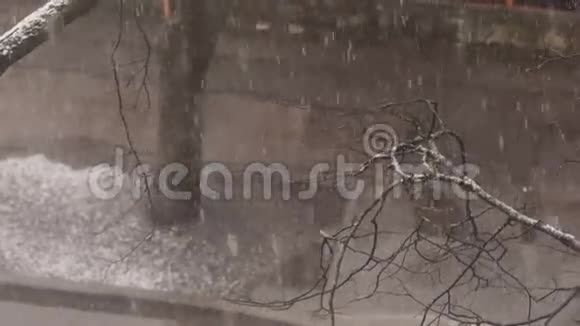 暴风雪和降雪4KUHD视频的预览图