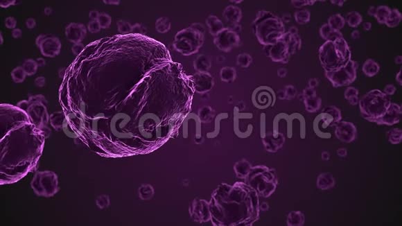 显微镜下提取紫色病毒细胞视频的预览图