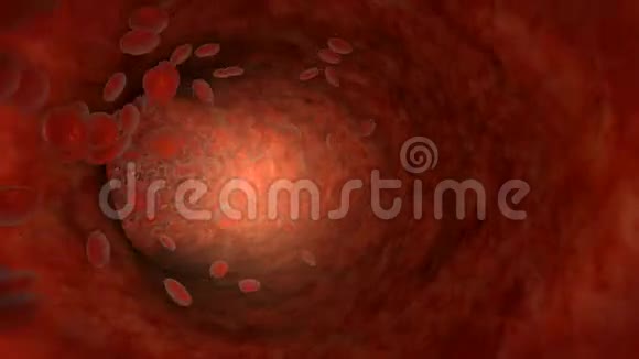 人体脉冲静脉内的血细胞血流阻塞血流量视频的预览图