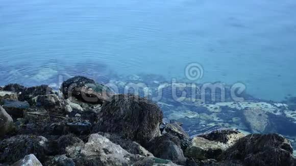 清澈平静的蓝色峡湾表面背景视频的预览图