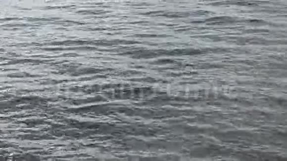 清澈平静的蓝色峡湾表面背景视频的预览图