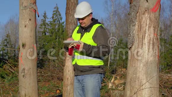 森林工程师在树木附近使用平板电脑视频的预览图