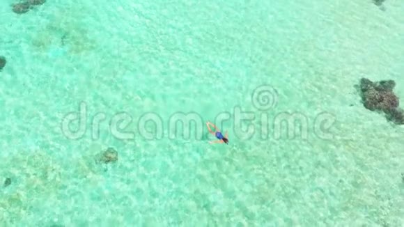 空中女性在珊瑚礁热带加勒比海浮潜视频的预览图