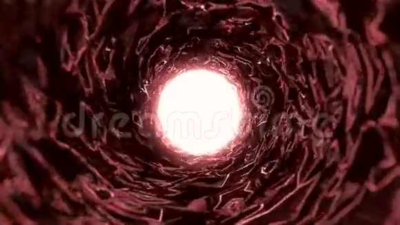 出隧道红色背景视频的预览图