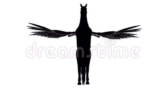 黑色的飞马轮廓阿尔法频道阿尔法冰铜4K视频的预览图