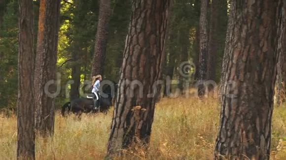 在树林里骑马的女孩视频的预览图