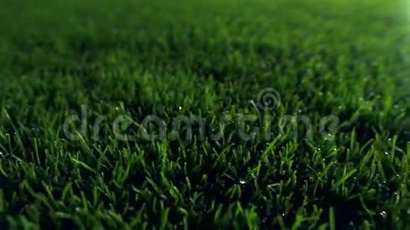 球场足球场草坪之夜视频的预览图