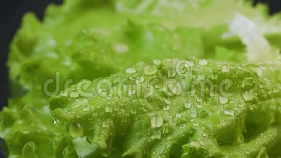 带水滴的湿沙拉视频视频的预览图