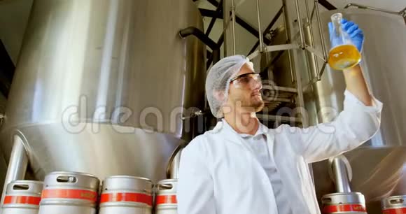 布鲁尔测试啤酒4k视频的预览图