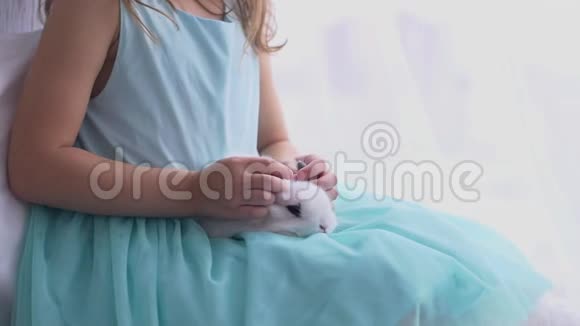 漂亮的少女与装饰兔子拥抱玩耍视频的预览图