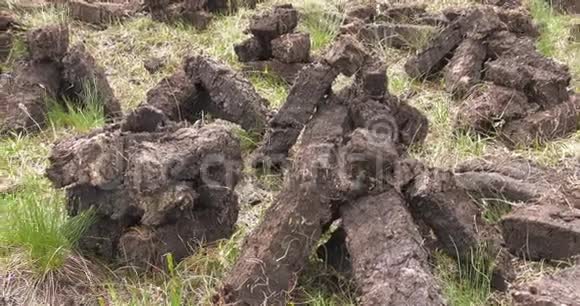 爱尔兰苔藓沼泽中用铁锹切割和安装草皮泥炭视频的预览图