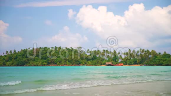 自然景观阳光明媚的沙滩棕榈树令人惊叹视频的预览图