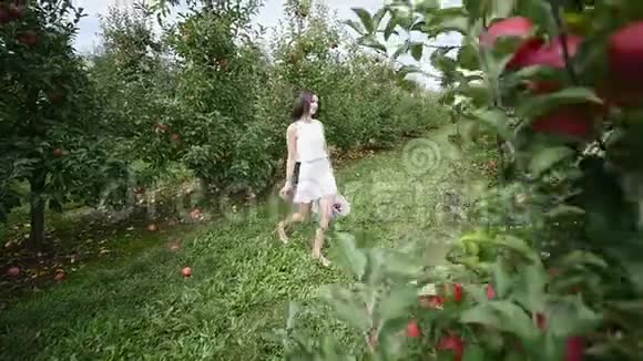 一个美丽的女孩去看种植园在一个阳光明媚的日子概念生物产品天然产品新鲜产品视频的预览图