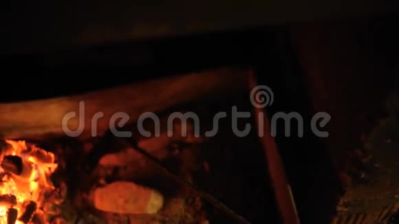 烤架上烤的鱼视频的预览图