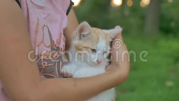 深褐色头发的女孩抱着小猫抱着她的猫爱户外的少年视频的预览图