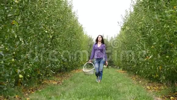 一个美丽的女孩去看种植园在一个阳光明媚的日子概念生物产品天然产品新鲜产品视频的预览图