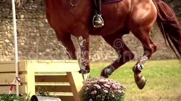 骑着马跳着跨栏视频的预览图