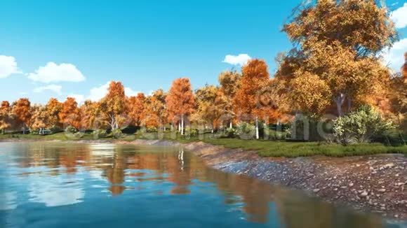 森林湖岸上五颜六色的秋树视频的预览图