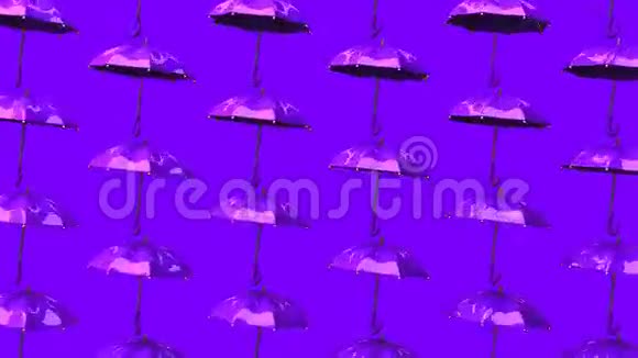 紫色雨伞视频的预览图
