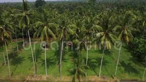 从顶部可以看到美丽的水稻梯田在阳光明媚的日子里和Drone一起射击视频的预览图