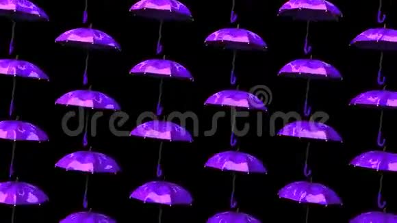 紫色雨伞视频的预览图