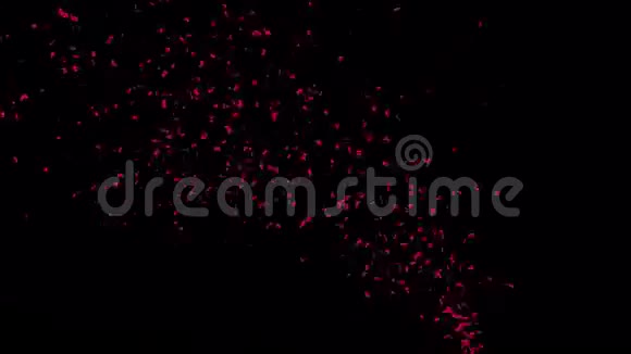 洋红喷泉纸屑视频的预览图