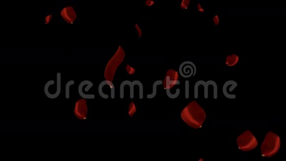 落下的红色玫瑰花瓣视频的预览图