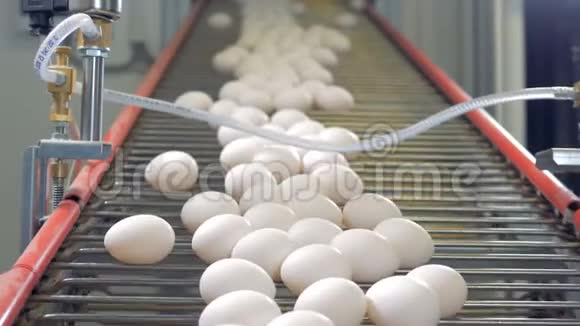 工厂里的鸡蛋分类鸡蛋分拣输送机在行动视频的预览图
