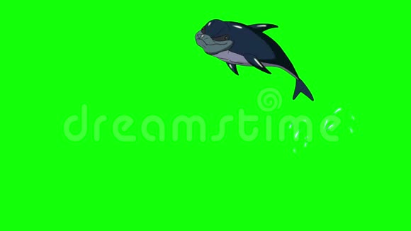 海军蓝海豚跳出水面视频的预览图