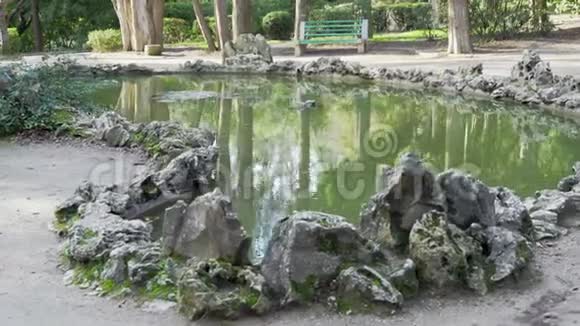 旧公园里的小池塘视频的预览图