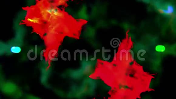 彩色粒子在黑暗中三维动画循环视频的预览图