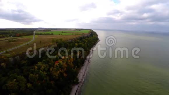 克里夫海岸线秋天的树空中镜头视频的预览图
