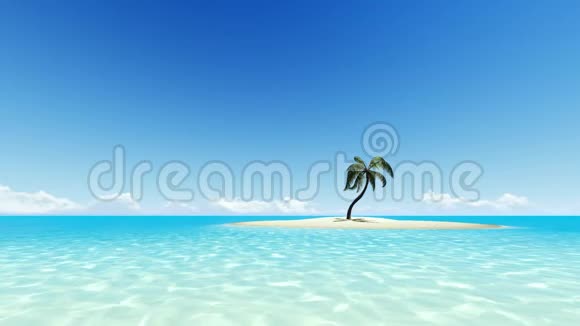 热带岛屿一棵棕榈树晴空万里视频的预览图