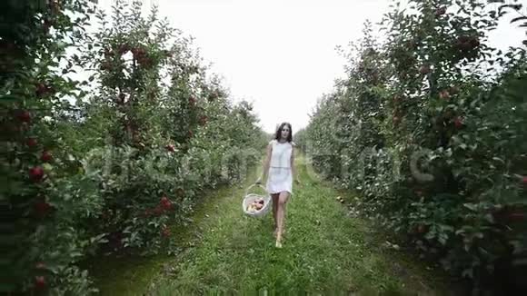 一个美丽的女孩去看种植园在一个阳光明媚的日子概念生物产品天然产品新鲜产品视频的预览图