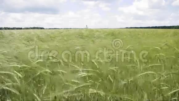 小麦视频的预览图